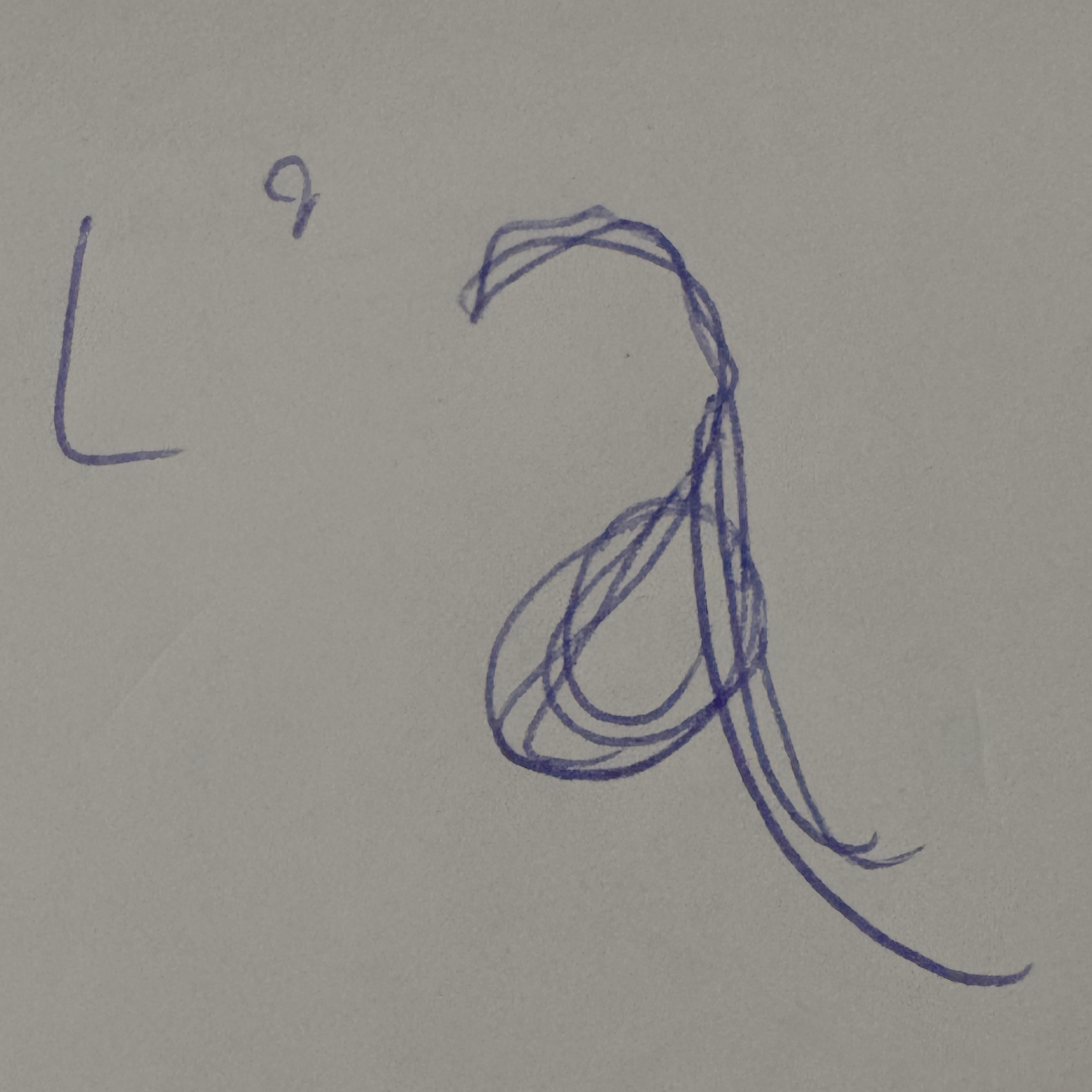 À propos de l’Archivologiste